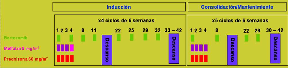 Esquema tratamiento Bortezomib-Melfalán-Prednisona